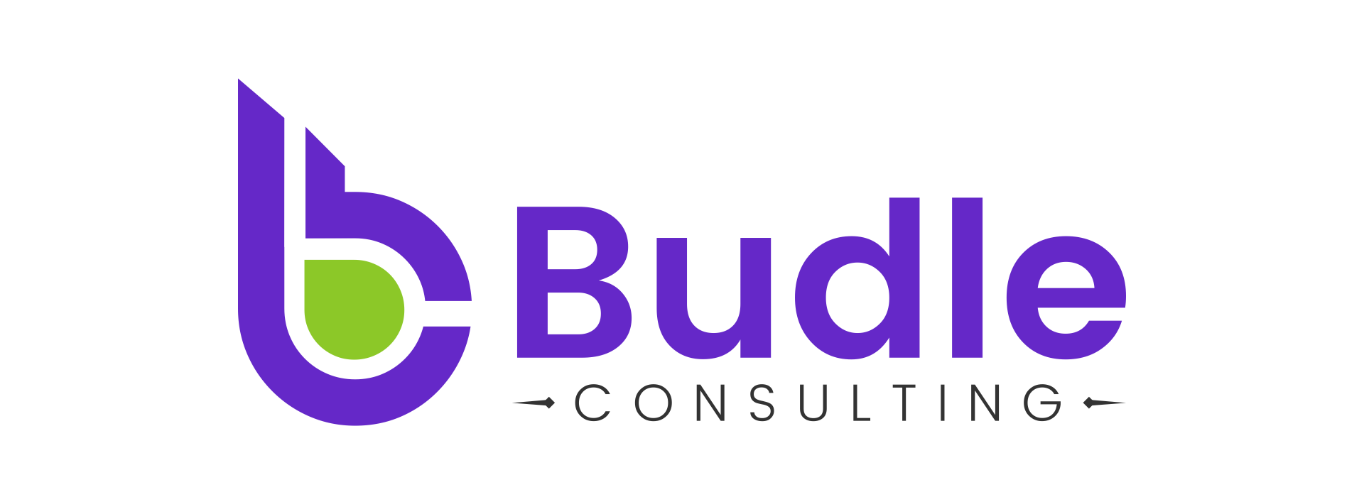 Budle Consulting logo in purple and green